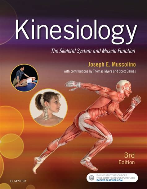 (PDF) Kinesiology .